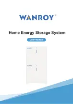 Wanroy WY51100 User Manual preview