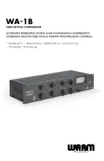 Warm Audio WA-1B Manual preview