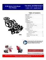 Waterous S100 Series Operation And Maintenance preview