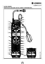 Предварительный просмотр 6 страницы Xylem Lowara Scuba Series Manual