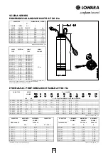 Предварительный просмотр 10 страницы Xylem Lowara Scuba Series Manual