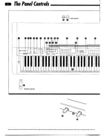 Предварительный просмотр 6 страницы Yamaha Clavinova CVP-25 Owner'S Manual