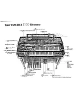 Предварительный просмотр 5 страницы Yamaha Electone 205D Manual