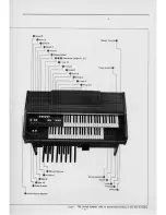 Предварительный просмотр 6 страницы Yamaha Electone B-10BR Manual