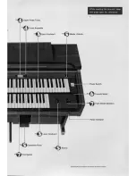 Предварительный просмотр 5 страницы Yamaha Electone B-40 Manual