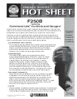 Preview for 1 page of Yamaha F250B Hot Sheet