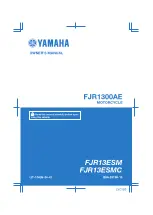 Yamaha FJR13ESM 2020 Owner'S Manual preview