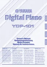 Yamaha PDP-101 Manual De Instrucciones preview