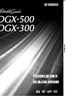 Yamaha Portable Grand DGX-300 Руководство Пользователя preview