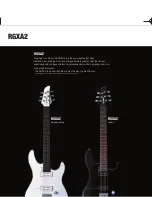 Предварительный просмотр 12 страницы Yamaha RBX374 Brochure