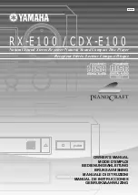 Preview for 1 page of Yamaha RX-E100 Owner'S Manual