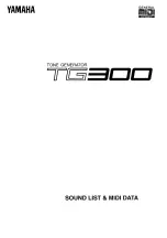 Yamaha TG300 Sound List & Midi Data preview