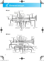 Предварительный просмотр 4 страницы Yamaha YTR-2320 Manual