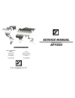 YORKVILLE AP1020 Service Schematics preview