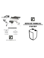 Preview for 1 page of YORKVILLE PULSE PS218P Service Manual