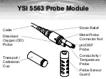 Предварительный просмотр 14 страницы YSI YSI 556 MPS Set-Up, Operation & Calibration