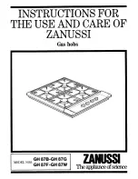 Zanussi GH 87B-GH 87G Instructions For Use Manual preview