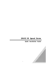 Zavio P8220 Quick Installation Manual предпросмотр