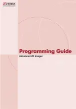 Предварительный просмотр 1 страницы Zebex Z-6172 Programming Manual