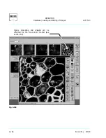 Предварительный просмотр 202 страницы Zeiss LSM 510 Inverted Operating Manual