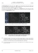 Предварительный просмотр 338 страницы Zeiss LSM 880 Operating Manual