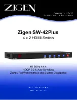 Zigen SW-42Plus User Manual preview